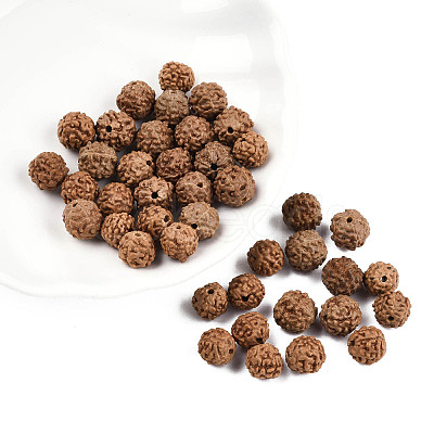 Undyed Natural Rudraksha Beads WOOD-T030-01-1