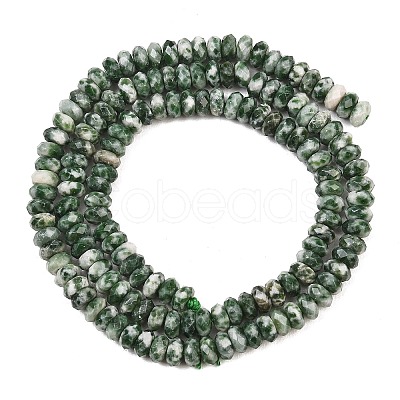 Natural Green Spot Jasper Beads Strands GG-CBAE4D4-A05-01-1