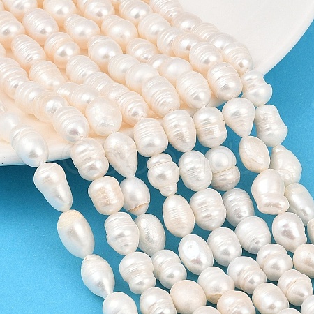 Natural Cultured Freshwater Pearl Beads Strands PEAR-F020-23A-1