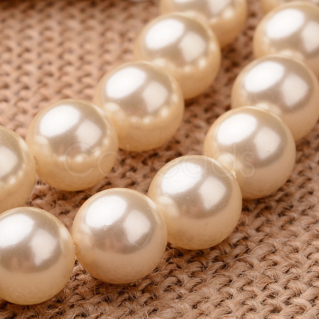 Polished Round Grade A Shell Pearl Bead Strands X-BSHE-M027-6mm-24-1