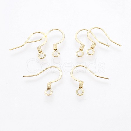 316 Surgical Stainless Steel French Earring Hooks X-STAS-P221-02G-1