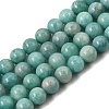 Natural Amazonite Beads Strands LS-G-F461-12-10mm-01A-2