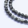 Natural Hawk's Eye Beads Strands G-L478-02-4mm-2