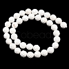 Natural Magnesite Beads Strands G-Z143-D01-10mm-3
