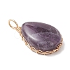 Natural Amethyst Pendants PALLOY-JF04776-03-3