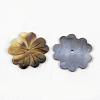 Natural Black Lip Shell Beads SHEL-R049-011-2