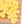 Dried Flower DIY-B018-13-2