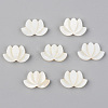 Natural Freshwater Shell Beads X-SHEL-S276-103-1