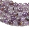 Natural Amethyst Beads Strands G-M445-8MM-01C-10
