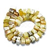 Natural Yellow Opal Beads Strands G-K245-F04-04-2