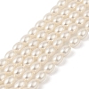Electroplated Shell Pearl Beads Strands BSHE-Z009-10C-1