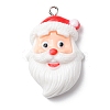 Christmas Opaque Resin Pendants RESI-A049-05B-1
