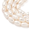 Natural Cultured Freshwater Pearl Beads Strands PEAR-D003-01D-14-4