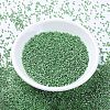 MIYUKI Delica Beads SEED-J020-DB1844-2