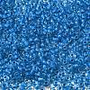 6/0 Transparent Glass Seed Beads SEED-F003-03A-02-3