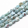 Natural Larimar Beads Strands X-G-R445-8x10-15-1