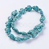 Synthetic Turquoise Beads Strands G-E456-35A-15x18mm-2