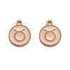 Alloy Enamel Pendants ENAM-S124-01A-10C-1
