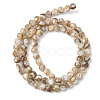 Natural Freshwater Shell Beads Strands SHEL-K006-71B-2