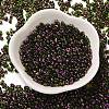 Spray Painted Glass Seed Beads SEED-F005-07A-05-2