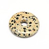 Donut/Pi Disc Natural Gemstone Pendants G-L234-40mm-07-1