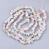 Natural Morganite Beads Strands X-G-S363-021-2