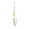 Glass Pendant Decorations DJEW-PW0012-003A-1