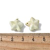 Natural Rainbow Alashan Agate Charms G-G194-02C-3