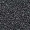 6/0 Glass Seed Beads X1-SEED-L011-08A-10-3