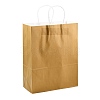 Pure Color Kraft Paper Bags AJEW-G020-D-06-3