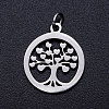 304 Stainless Steel Pendants STAS-T046-JA350-1A-P-1
