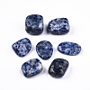 Natural Blue Spot Jasper Beads G-N332-014-2