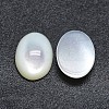 Shell Cabochons SSHEL-P015-59C-2