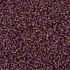 MIYUKI Round Rocailles Beads SEED-JP0010-RR3737-4
