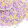 Glass Seed Beads X1-SEED-K010-03F-1