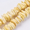 Natural Sea Shell Beads Strands BSHE-K012-08B-1