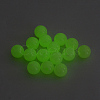 Luminous Acrylic Round Beads LACR-R002-5mm-01-4