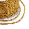 Polyester Braided Cords OCOR-I006-A01-30-3