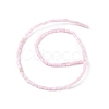 Natural Freshwater Shell Dyed Beads Strands SHEL-M018-12-09-2