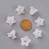 Transparent Acrylic Beads PLF018-01-4