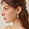 10 Pairs Brass Earring Hooks KK-BBC0027-77C-6