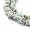 Natural Larimar Beads Strands X-G-P302-03-3
