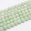 Natural Myanmar Jade/Burmese Jade Beads Strands G-F306-13-8mm-1