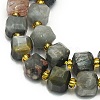 Natura Eagle Eye Stone Beads Strands G-I376-D49-01-3