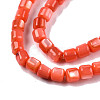 Natural Freshwater Shell Beads Strands SHEL-N003-33-A06-3