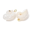 Natural Couch Shell Pendants SH-CBAB405-02G-2