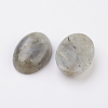 Natural Labradorite Flat Back Cabochons G-G741-30x40mm-18-2