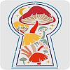 Plastic Reusable Drawing Painting Stencils Templates DIY-WH0202-272-1