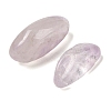 Natural Amethyst Beads G-Z062-09A-2