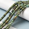 Natural Turquoise Beads Strands G-P506-03C-01-4